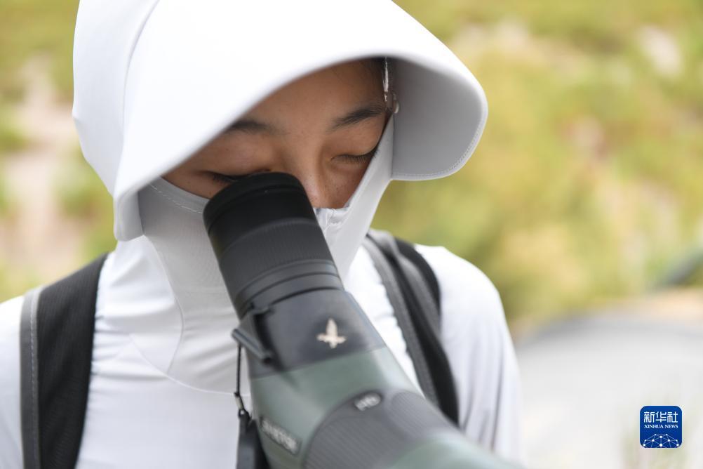 莆田中瑞娱乐